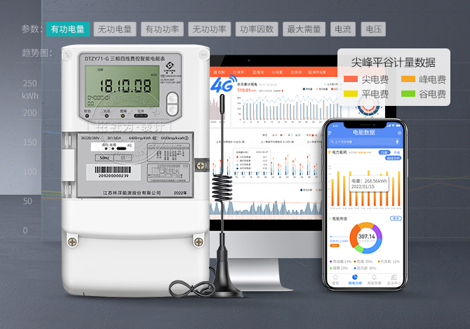 林洋4G無線智能電表